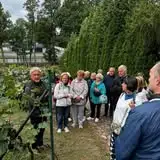 Zagubiony pies w lasach pod Bolanowem – Urząd Gminy Lubin szuka właściciela