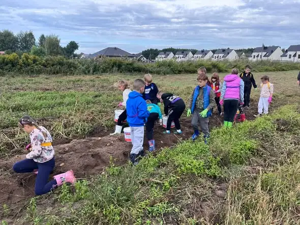 Uczniowie klasy 2a z gminy Lubin na wykopkach – edukacja przez doświadczenie