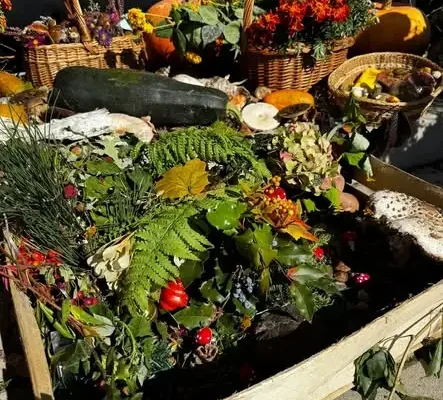 Grzybobranie w Buczynce: mieszkańcy gminy Lubin na leśnych spacerach