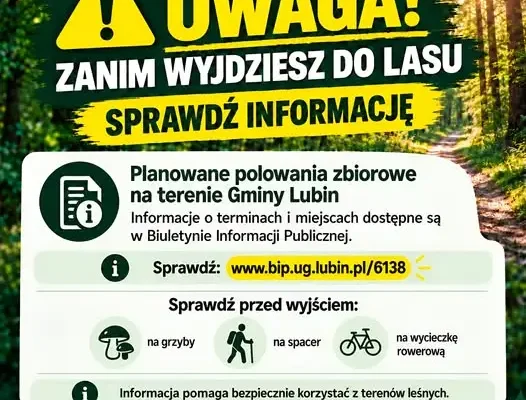 Bezpieczne grzybobranie w Gminie Lubin – sprawdź terminy polowań zbiorowych