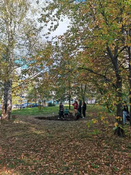 Żonkilowa Mapa Dobra: wolontariusze posadzili żonkile nadziei w Lubinie