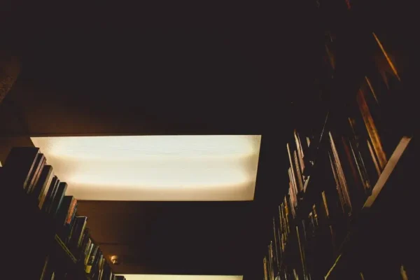 Biblioteka w Chobieni wzbogaciła się o nowości czytelnicze