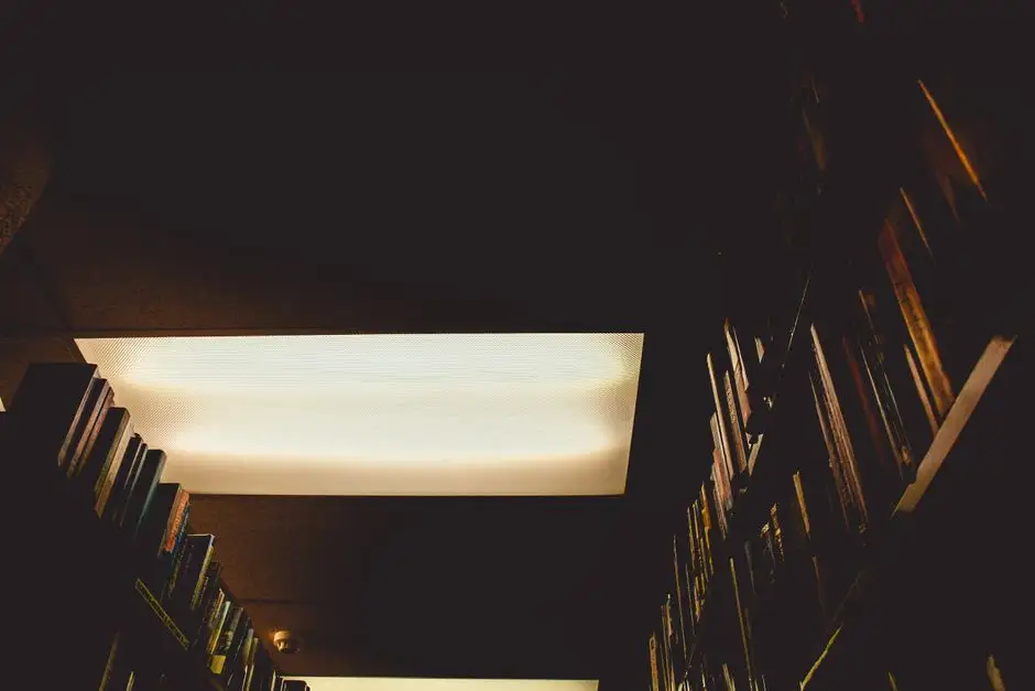 Biblioteka w Chobieni wzbogaciła się o nowości czytelnicze